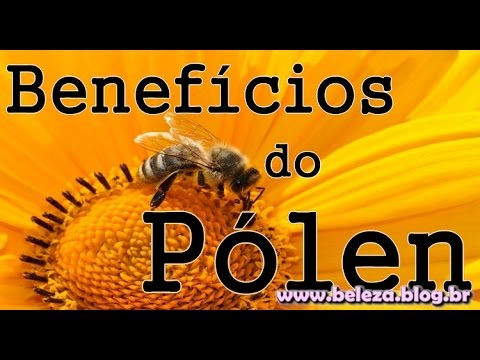 Pólen – Benefícios e Como Consumir